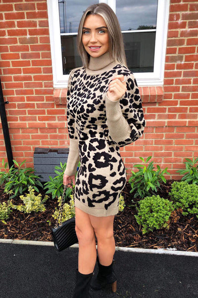 Stone Animal Print Knitted Dress  AX Paris