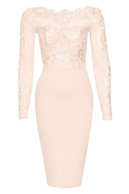 Blush Lace Detail Long Sleeved Bodycon Dress