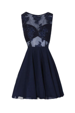 Navy Embroidered Mesh Skater Dress