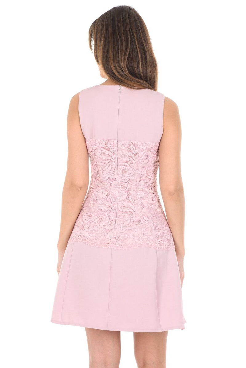Pink Lace Waist Skater Dress