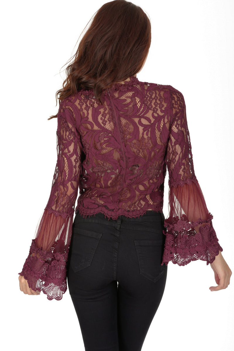 Plum Sheer Lace Long Sleeve Top