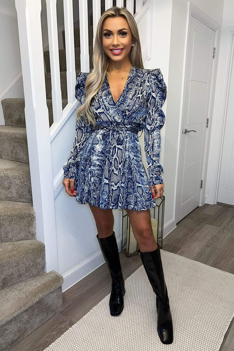 Plus Size Snakeskin Skater Dress Blue Snake Print Long Puff Sleeve