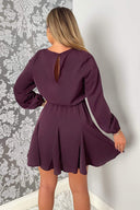 Plum Long Sleeve Frill Skirt Dress