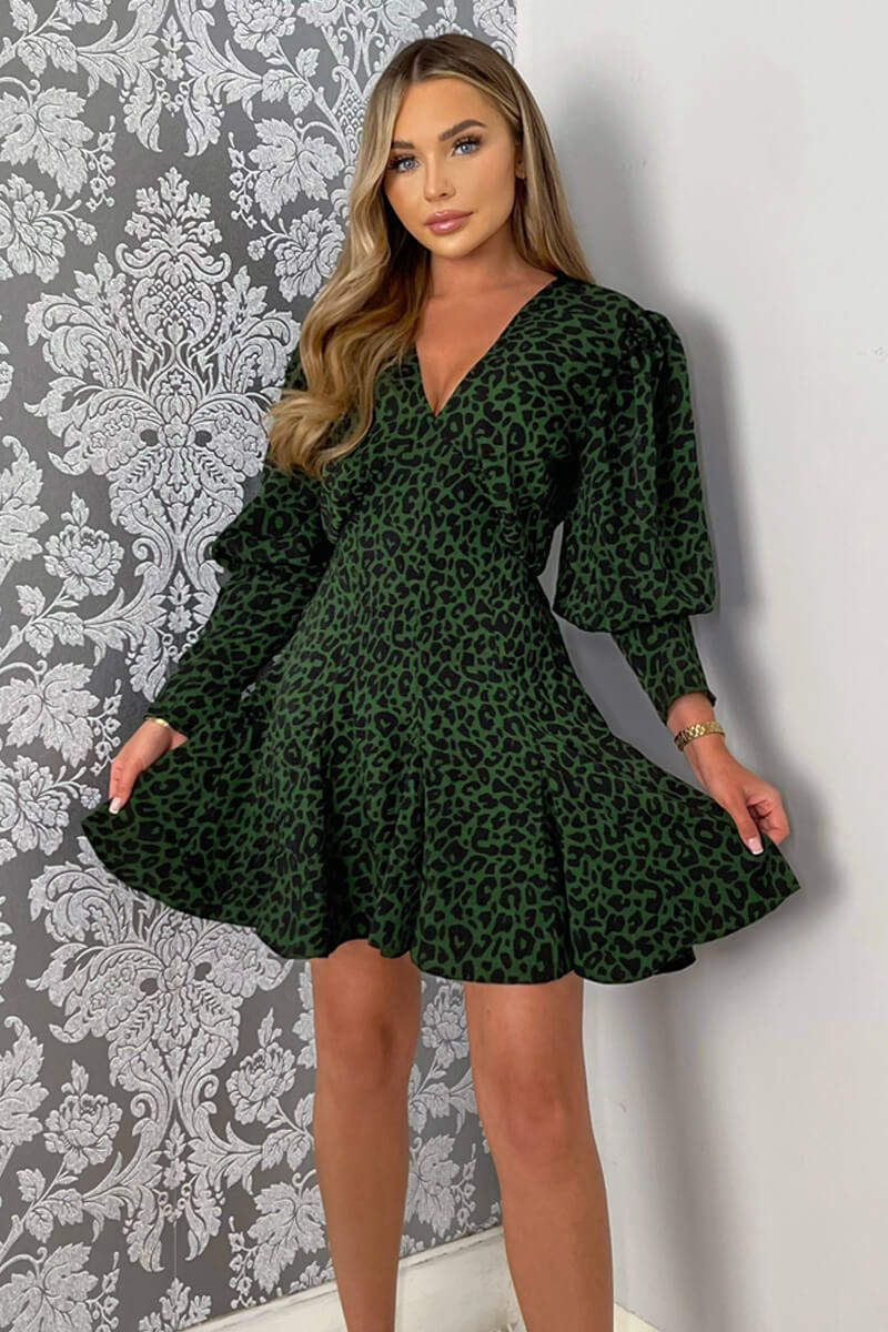 Green Animal Print V-Neck Long Sleeve Skater Dress