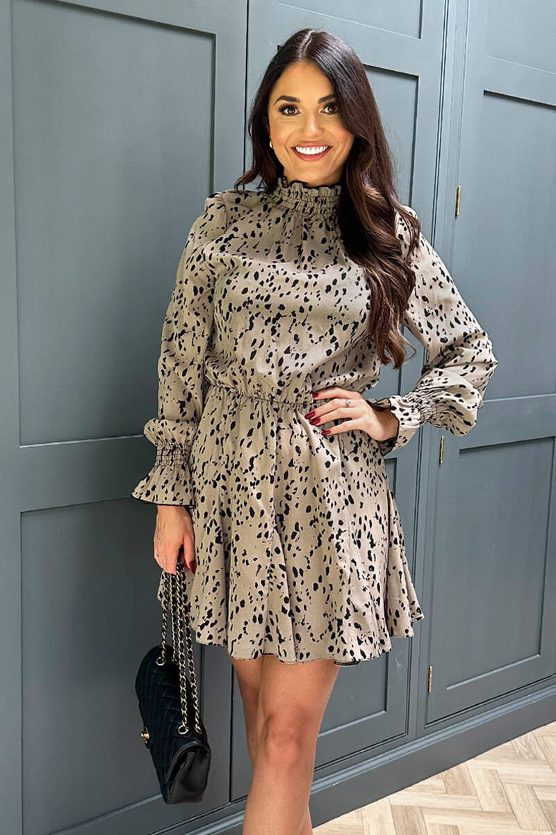 Beige Animal Print Long Sleeve Shirred Detail Skater Dress  AX Paris
