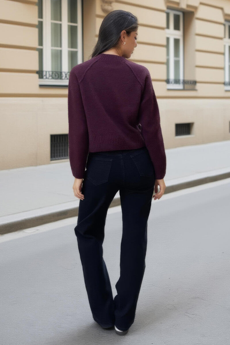 1757325474_Burgundy-Mock-Neck-Seam-Detail-Jumper-5.jpg