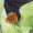 54880.png