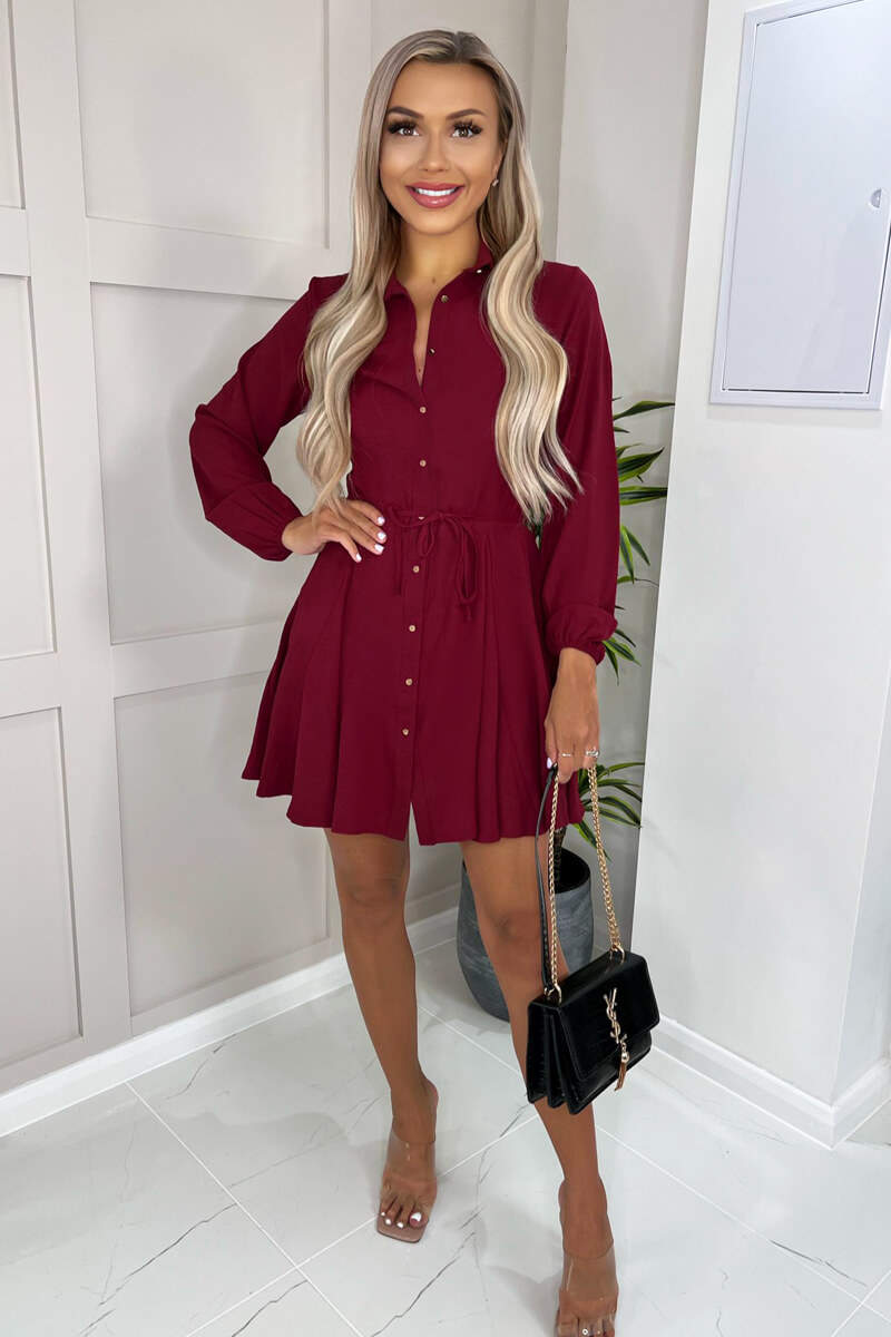 Wine Long Sleeve Belted Pleated Skater Dress
