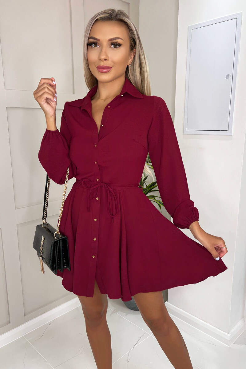 Wine Long Sleeve Belted Pleated Skater Dress