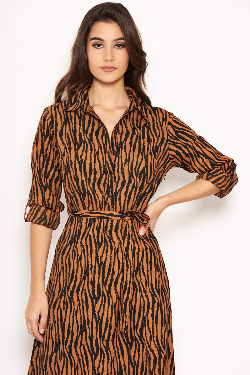 Animal Print Maxi Shirt Dress