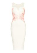 Cream Sheer Top Bodycon With Lace Detail
