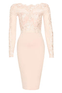 Blush Lace Detail Long Sleeved Bodycon Dress