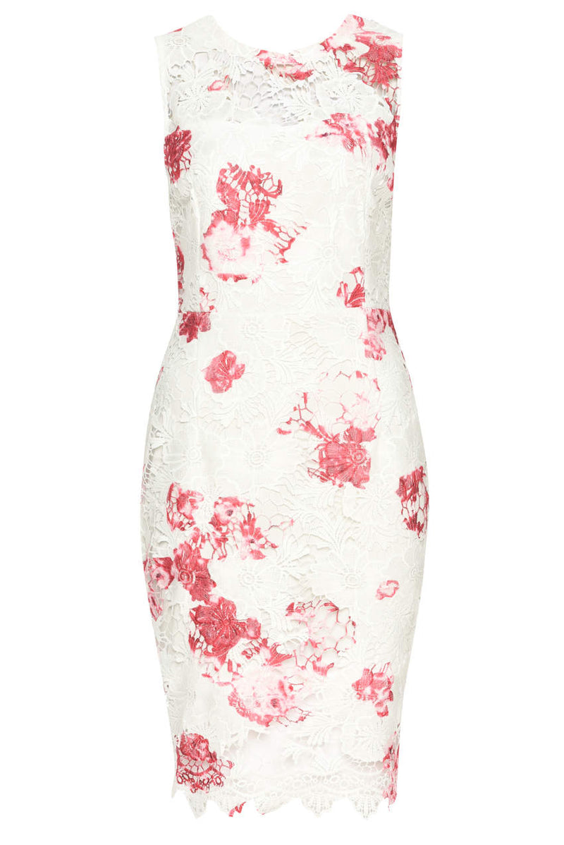 Cream and Pink Floral Lace Bodycon Dress AX Paris Cream and Pink Floral Lace Bodycon Dress AX Paris