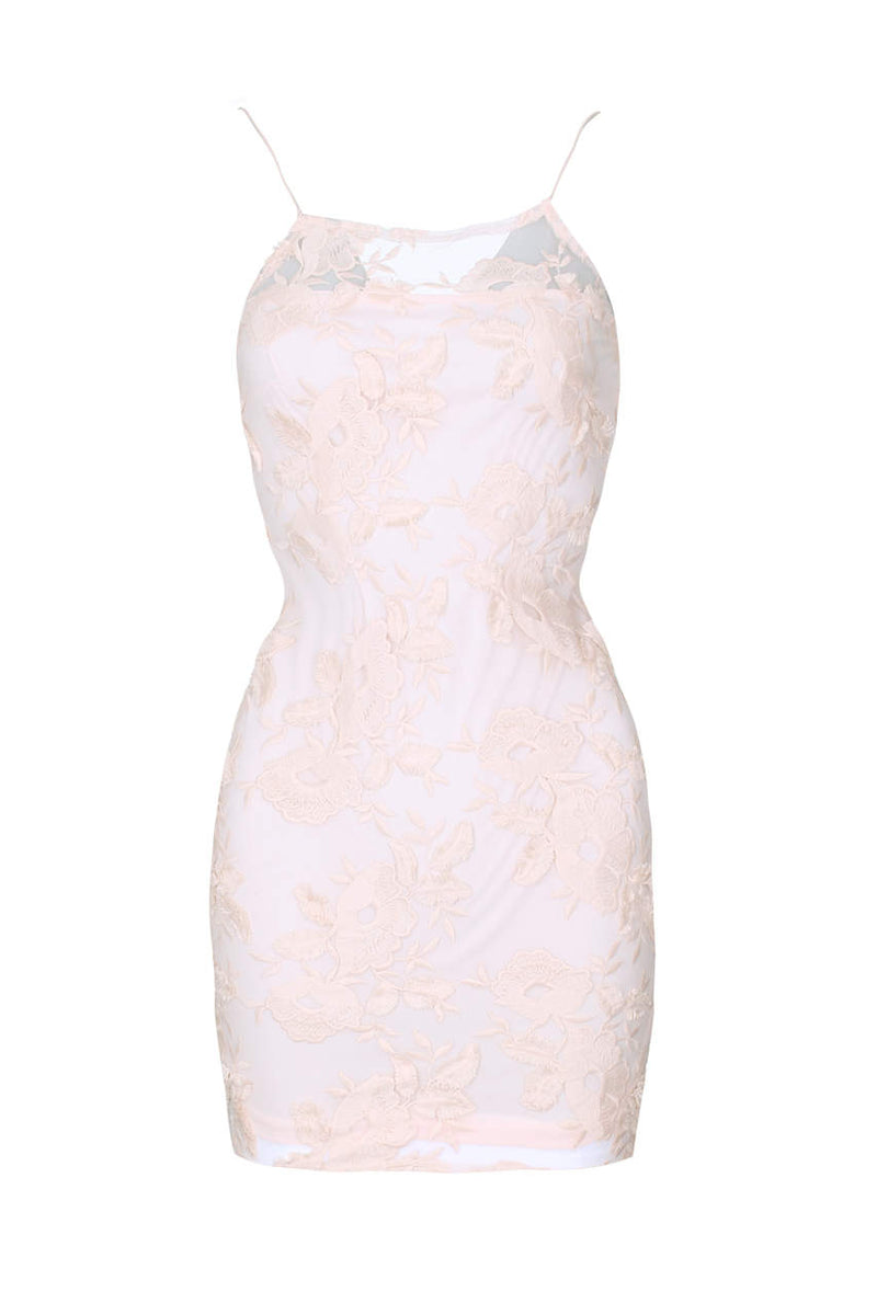 Blush Floral Mesh Embroidered Bodycon Dress