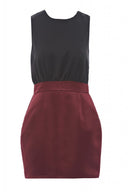 Two Tone Dress