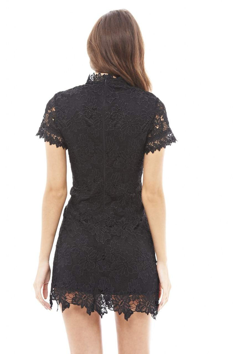 High Necked Lace Dress