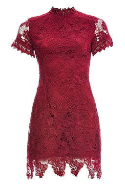 Wine High Neck  Lace   Dress