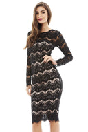 Long Sleeved Lace Bodycon Dress