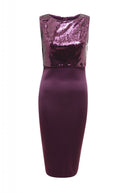 Sequin Over Lay Bodycon Dress