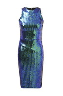 Sequin Covered Bodycon Dress