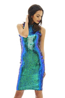 Sequin Covered Bodycon Dress