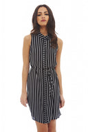 Pinstriped Sleeveless Shirt Dress