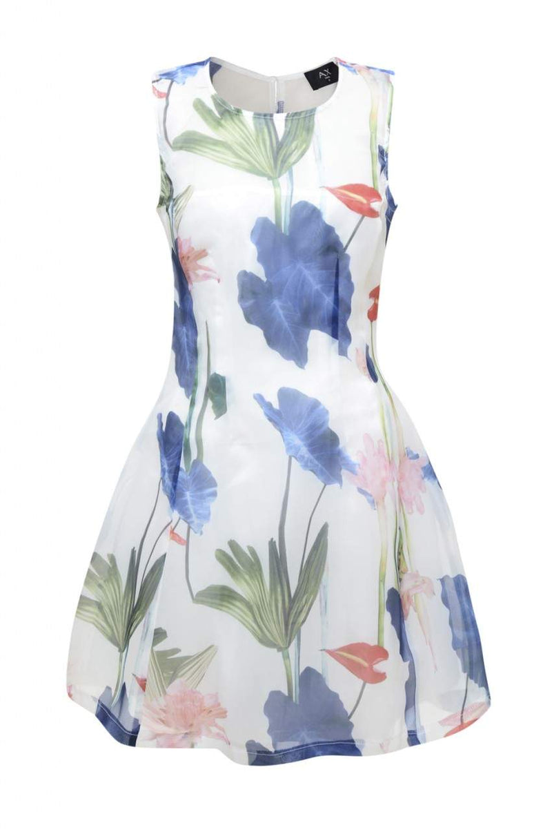 Sheer Floral Skater Dress