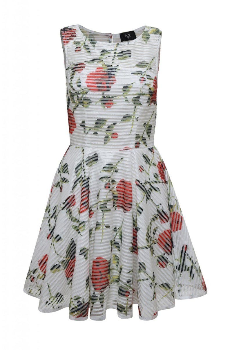 Rose Printed Skater Dress