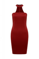 Cut Out   Bodycon Dress