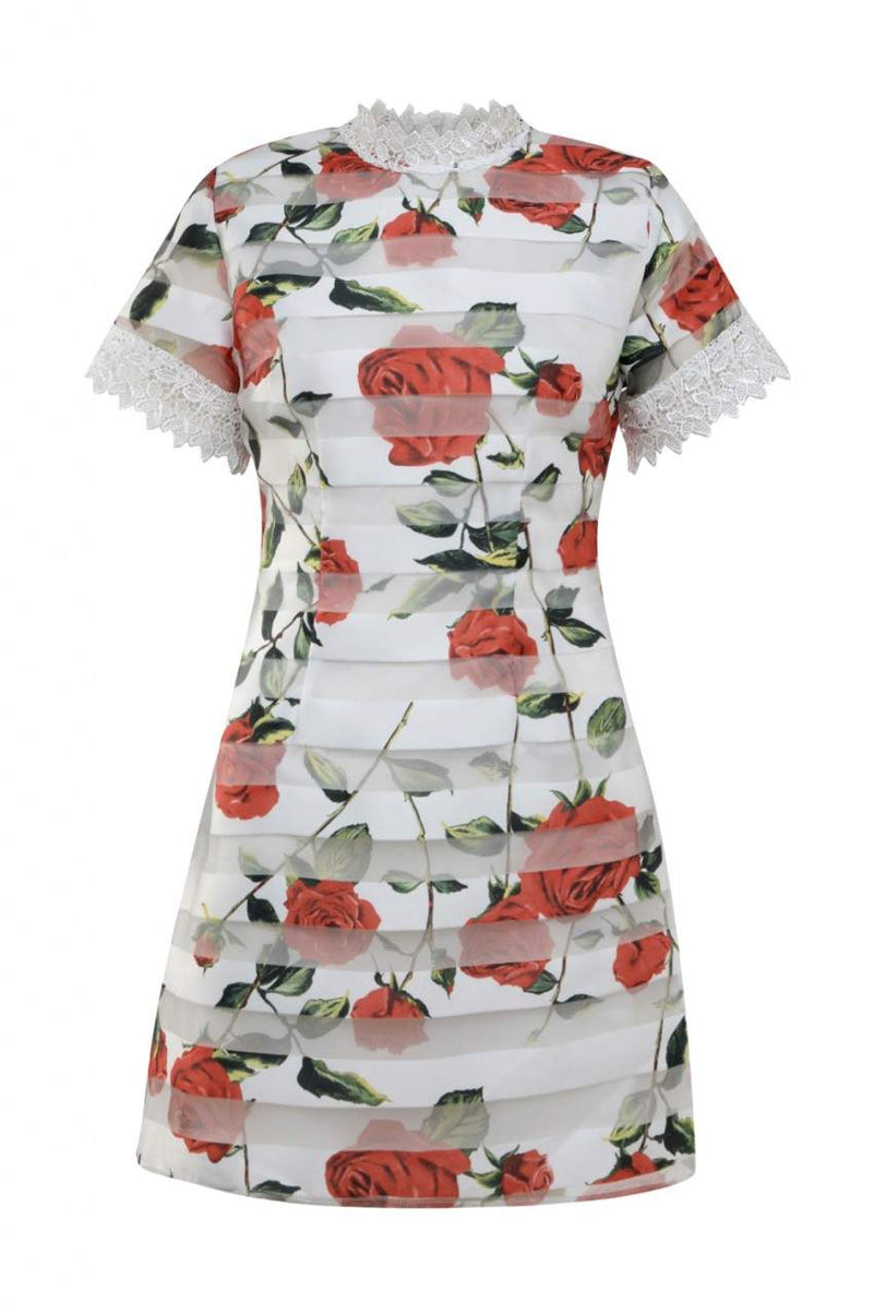 Rose Printed Mini Dress