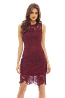 Red Wine Lace Crochet Dress with Sleeveless Detail