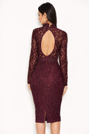 Plum High Neck Lace Dress With Frill Hem