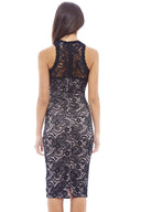 Lace Contrast Dress