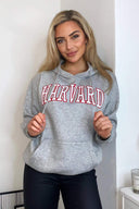 Grey Harvard Printed Hoodie