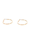 Gold Small Hoop Earrings