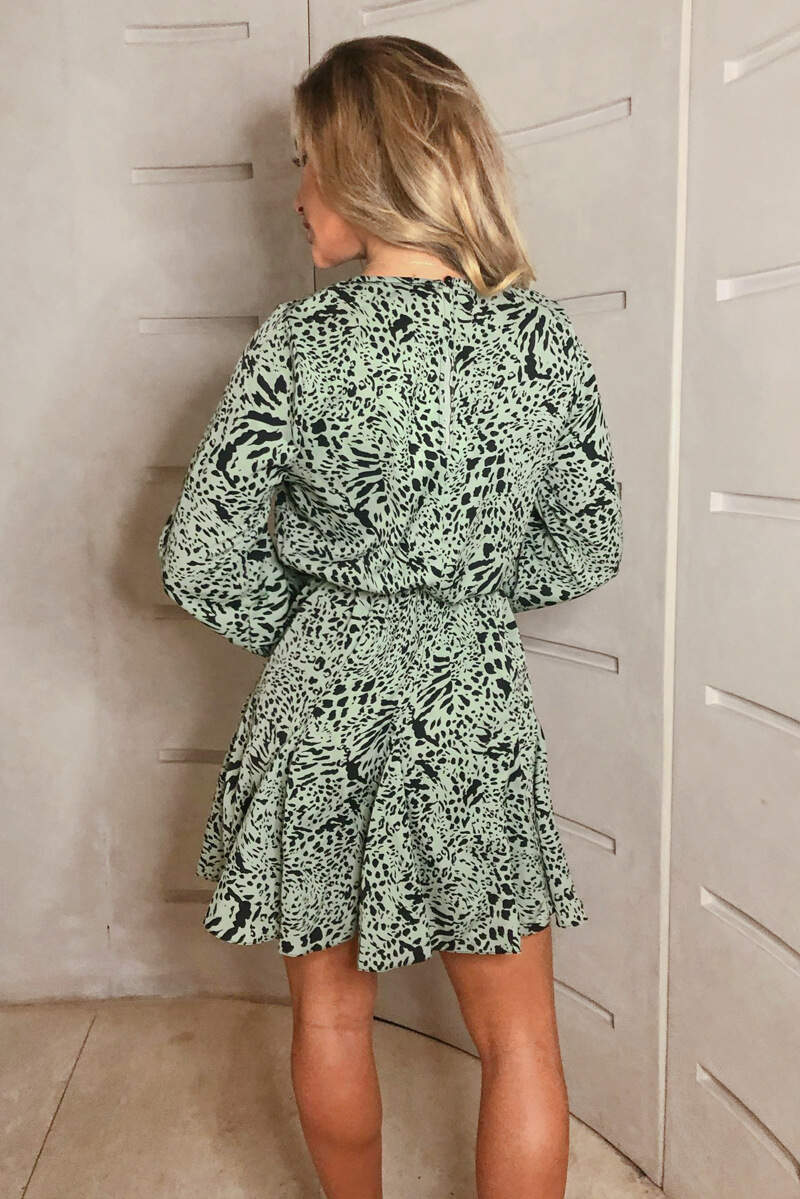 Mint Printed Pleated Skirt Skater Dress