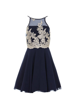 Navy Mesh Gold Embroidered Skater Dress