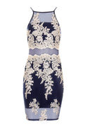 Navy and Gold Mesh Embroidered Dress