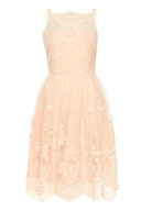 Nude Lace Detail Dress With Full Skirt