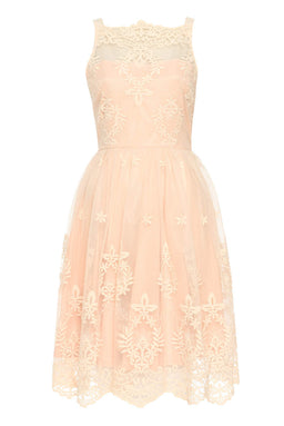 Nude Lace Detail Dress With Full Skirt