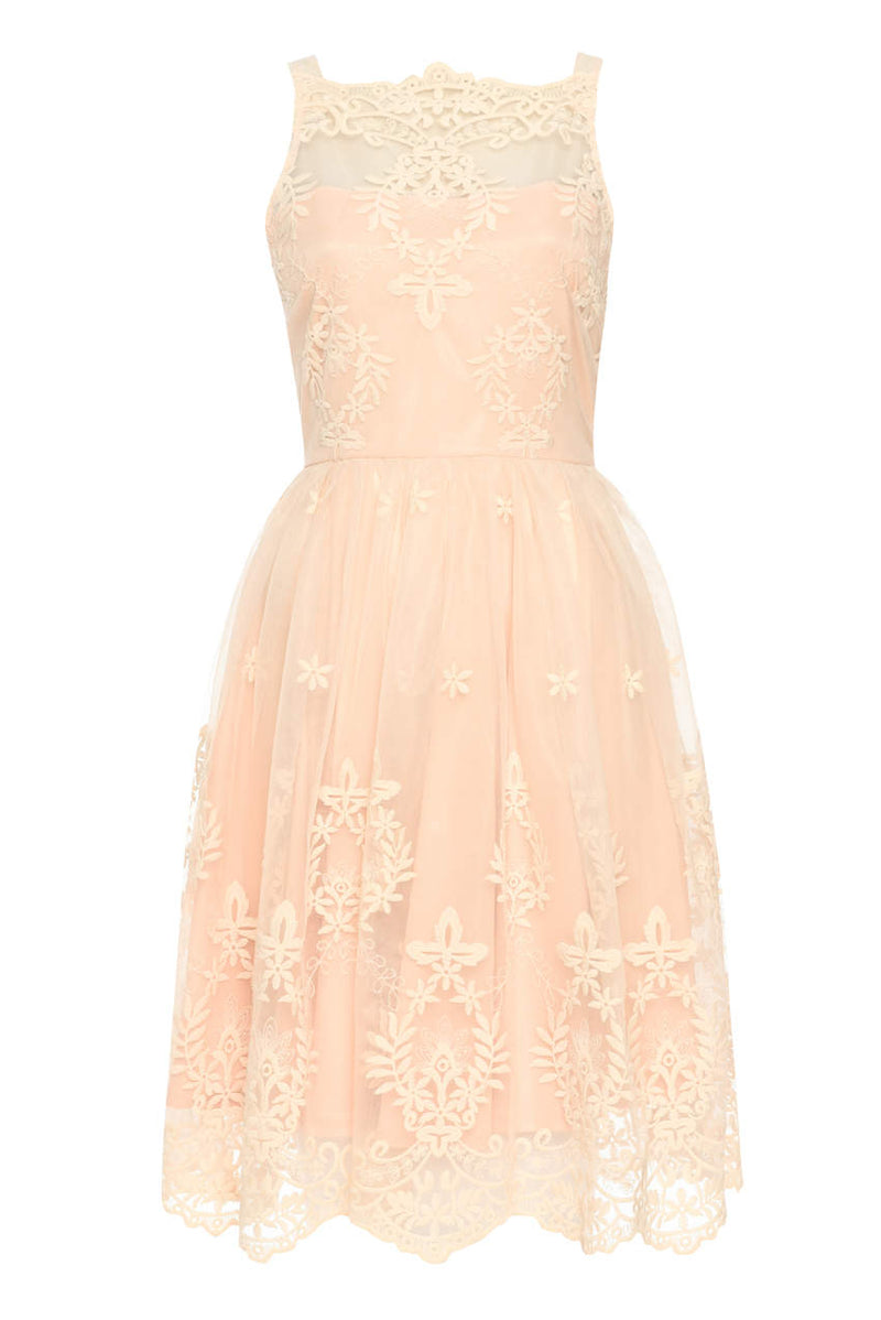 Nude Lace Detail Dress With Full Skirt