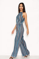 Multi Pleated Stripe Jumpsuit