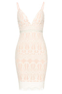 Pink Lace Fitted Mini Dress