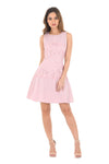 Pink Lace Waist Skater Dress