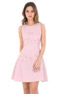 Pink Lace Waist Skater Dress