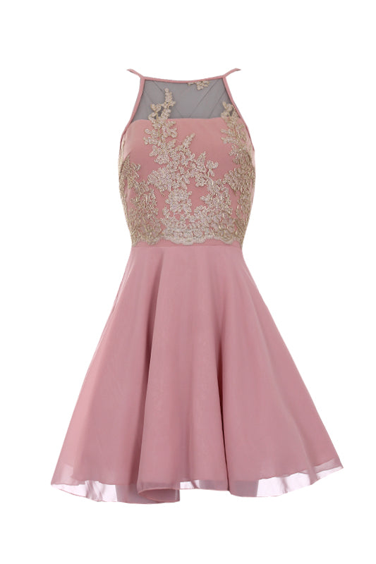 Pink Mesh Gold Embroidered Skater Dress