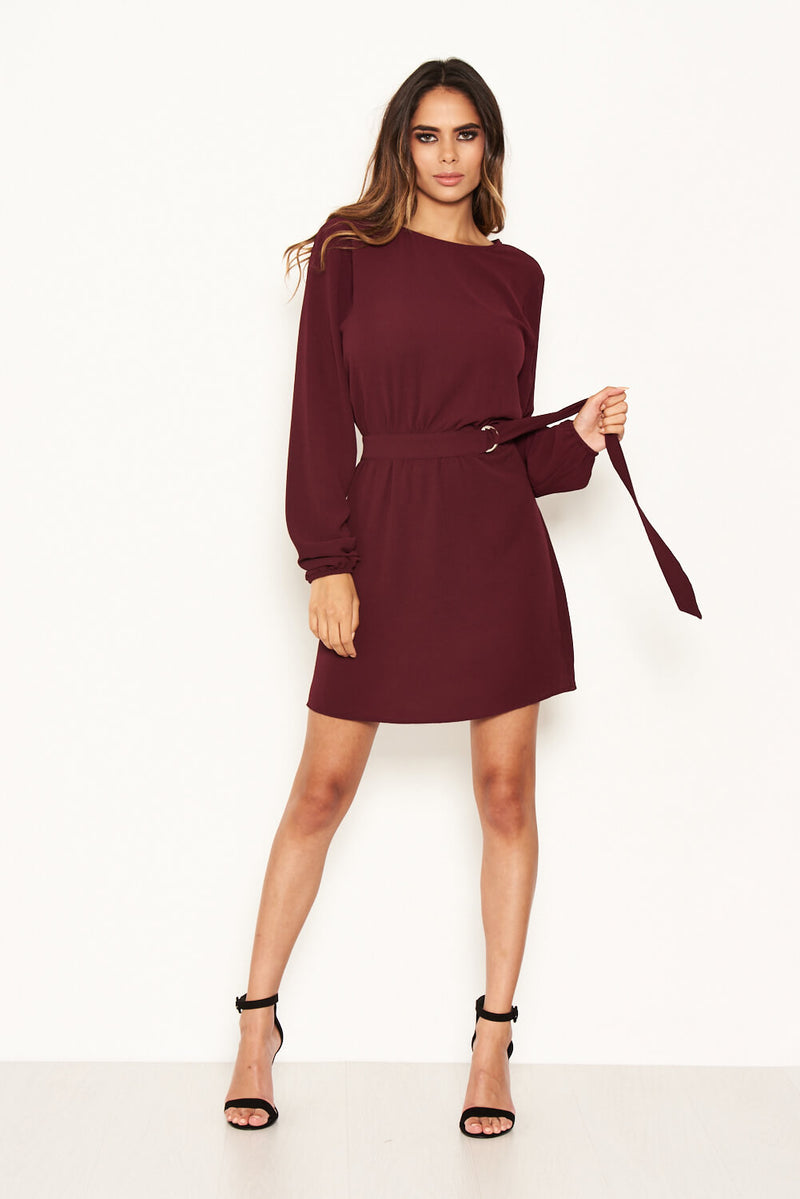 Plum Long Sleeve Belted Day Dress
