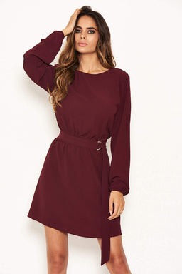 Plum Long Sleeve Belted Day Dress