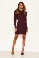 Plum Long Sleeve Bodycon Dress