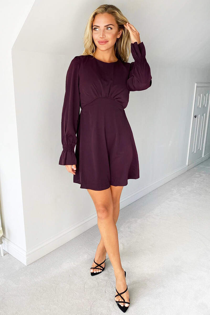 Plum Long Sleeve Skater Dress